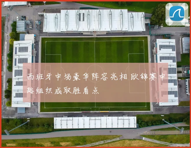 西班牙中场豪华阵容亮相 欧锦赛中路组织成取胜看点