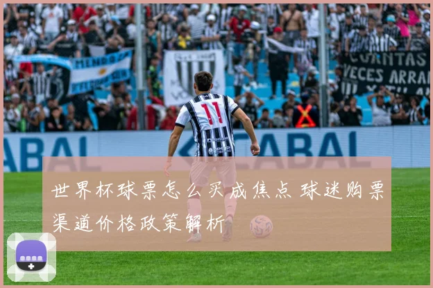 世界杯球票怎么买成焦点 球迷购票渠道价格政策解析
