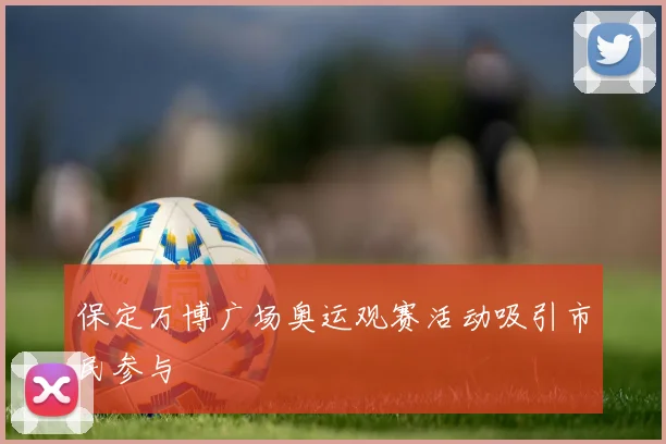 保定万博广场奥运观赛活动吸引市民参与