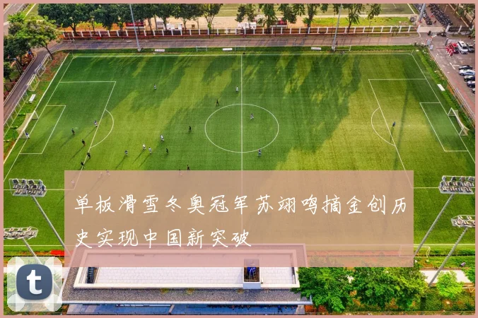 单板滑雪冬奥冠军苏翊鸣摘金创历史实现中国新突破