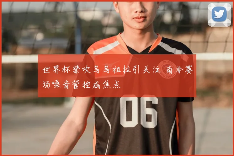 世界杯禁吹乌乌祖拉引关注 南非赛场噪音管控成焦点