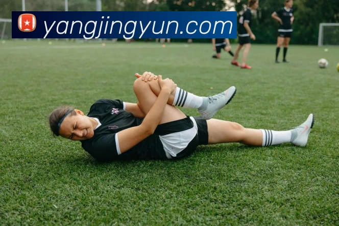 辅助工具 辅助工具